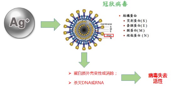银抗菌材料或成为预防公卫事件新方向 业界资讯 抗菌产业网 抗菌行业最具影响力门户网站