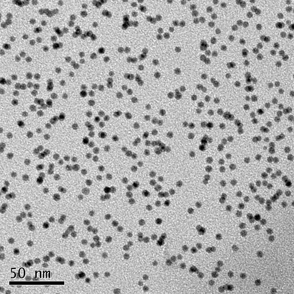 纳米银离子对表皮葡萄球菌生物膜结构的影响