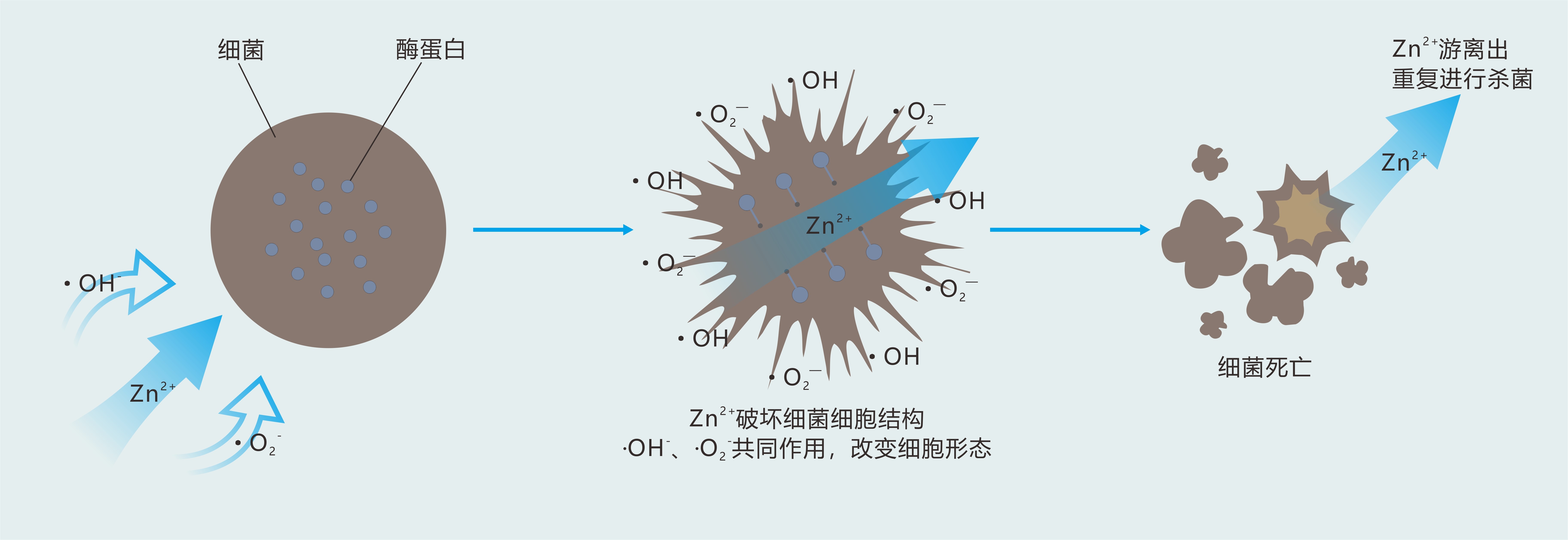 成都天佑晶创科技有限公司 - 副理事长单位 - 抗菌产业网-抗菌行业